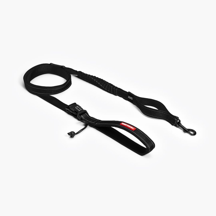 EzyDog product