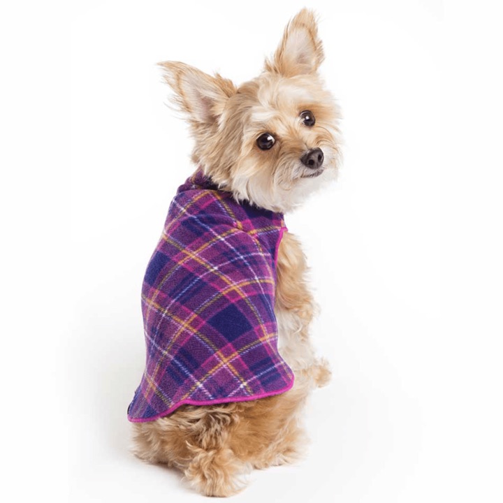 Gold Paw Series product