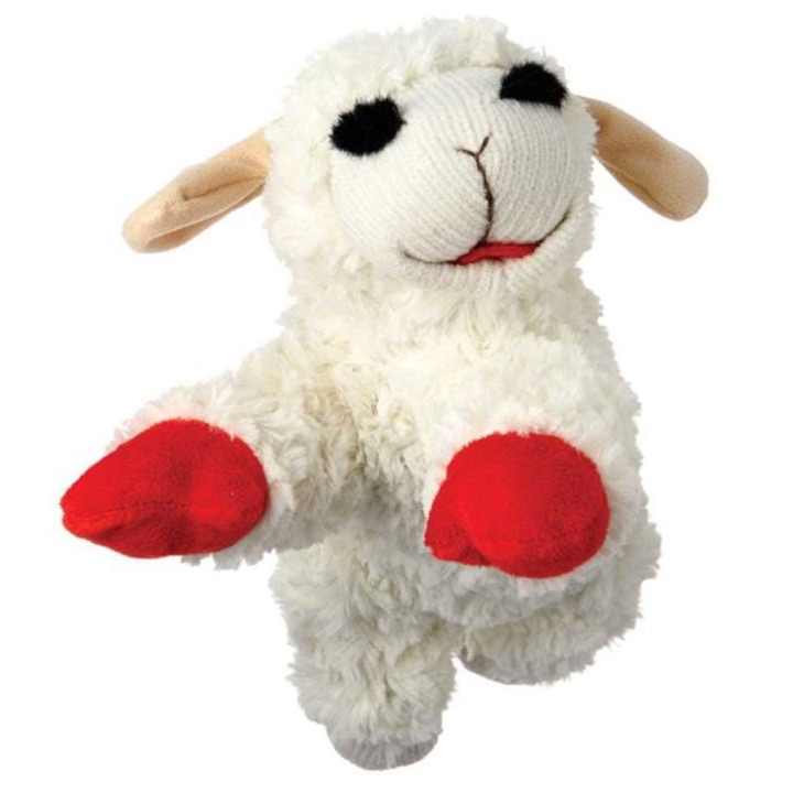 Multipet product
