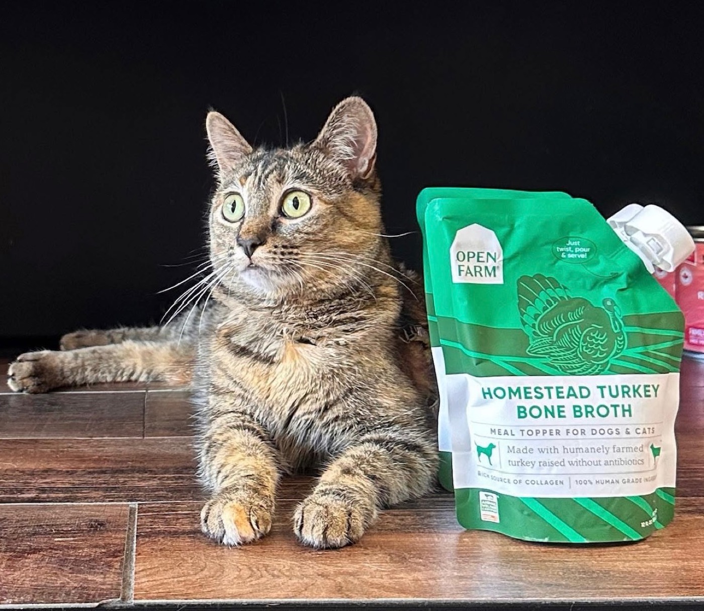 A tabby cat next to a bag of bone broth